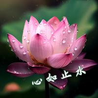 高清好看荷花头像