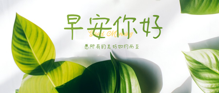 早安文艺风公众号封面