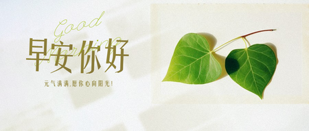 早安文艺公众号封面