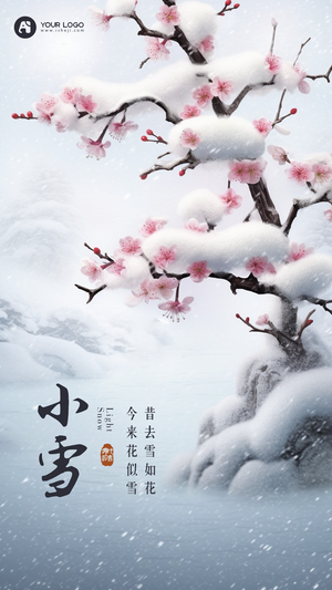 小雪手机海报