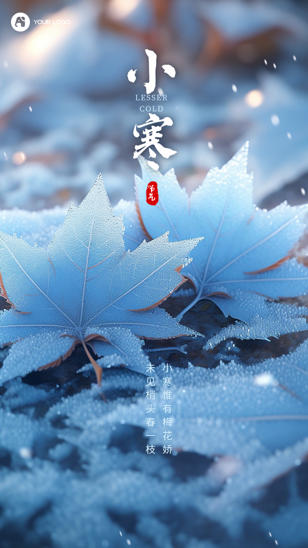小寒手机海报