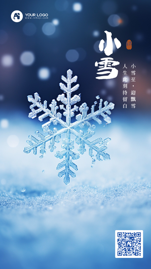 小雪手机海报