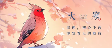 大寒首图封面