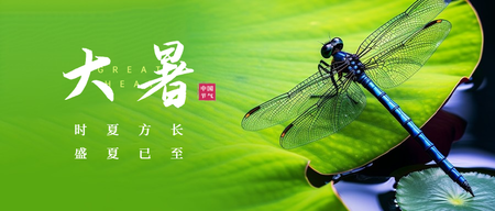 大暑公众号