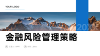 金融风险管理策略