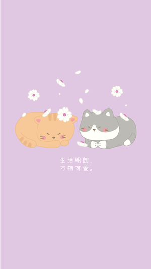 小猫简约清新可爱温暖手机壁纸