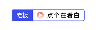 老板点个在看白简约线框在看提示