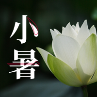 创意清新小暑公众号封面次图