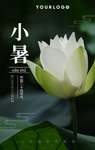 清新文艺二十四节气小暑手机海报