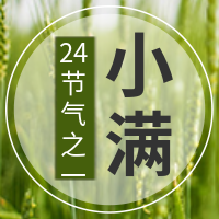简约24节气小满公众号封面次图