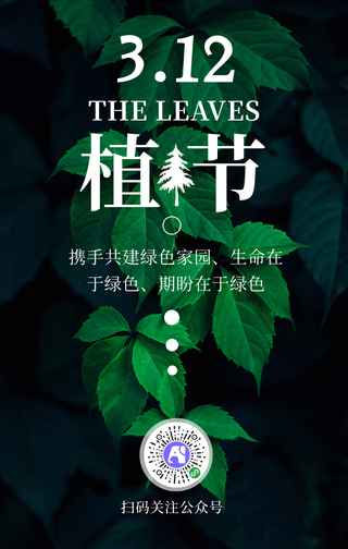 简约大气绿色植树节手机海报