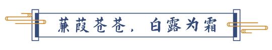 白露节气简约文章标题新媒体运营