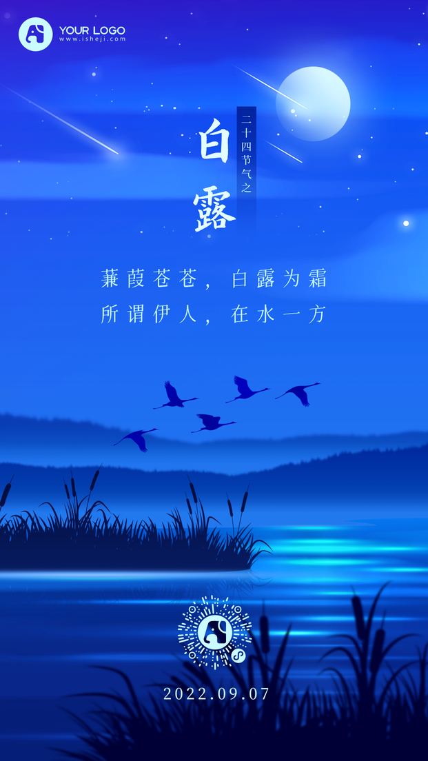 白露节气手机海报