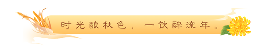 黄色简约秋分节气文章标题新媒体运营