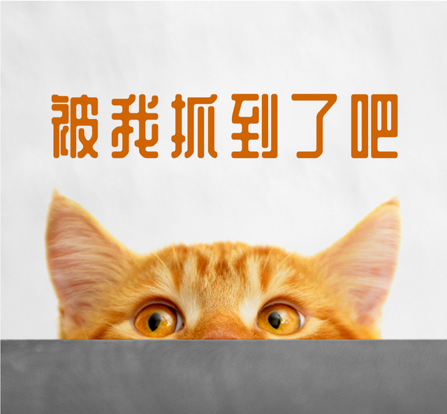 可爱猫咪手机朋友圈封面