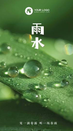 文艺清新传统节气雨水手机海报