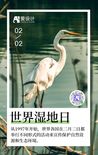 文艺清新世界湿地日手机海报