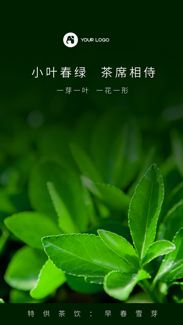 早春雪芽小叶春绿茶手机海报