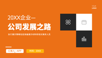 未来展望：公司发展之路