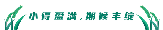 5.21小满传统节气文章标题