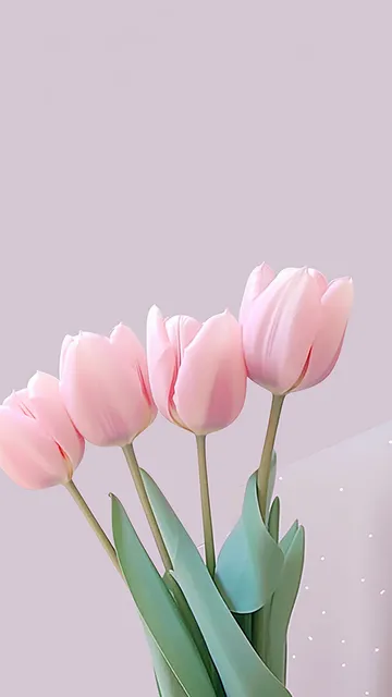 简约手机壁纸
