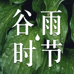 清新谷雨时节微信公众号小图