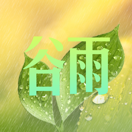 文艺清新实景风谷雨公众号次图