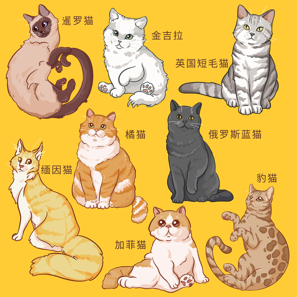 描边风宠物猫插画元素