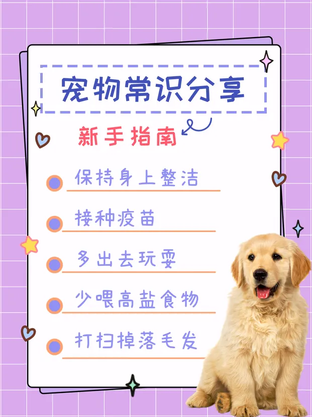 宠物生活常识分享小红书封面新媒体运营