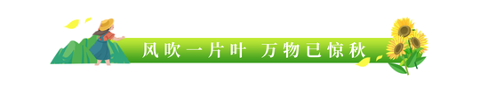 绿色清新渐变立秋节气文章标题