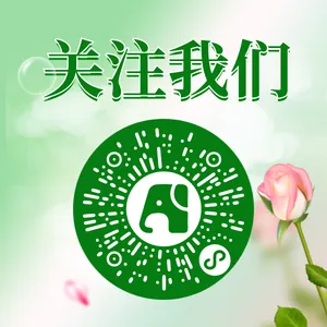 绿色清新关注公众号二维码新媒体运营