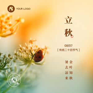 黄色风景瓢虫秋天立秋节气方形海报