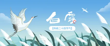 白露节气公众号首图新媒体运营