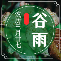 清新大气二十四节气谷雨公众号封面次图