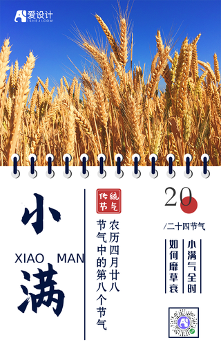 简约扁平挂历风24节气小满手机海报