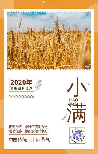 简约大气24节气小满手机海报