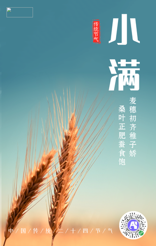 清新简约24节气小满手机海报