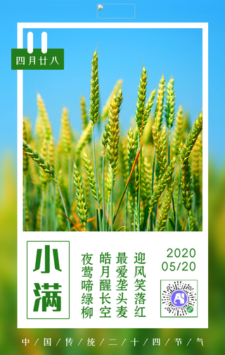 文艺清新24节气小满手机海报