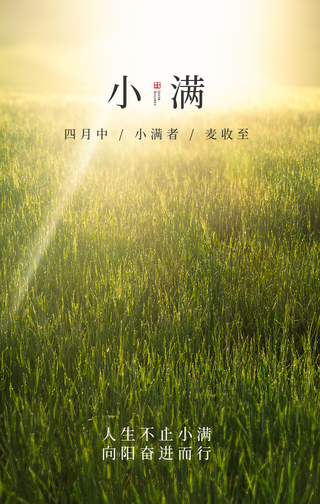 简约文艺小满二十四节气