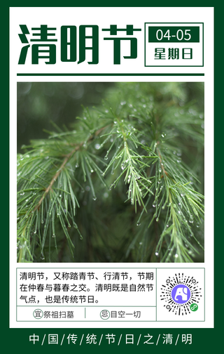 简约清新清明节手机海报