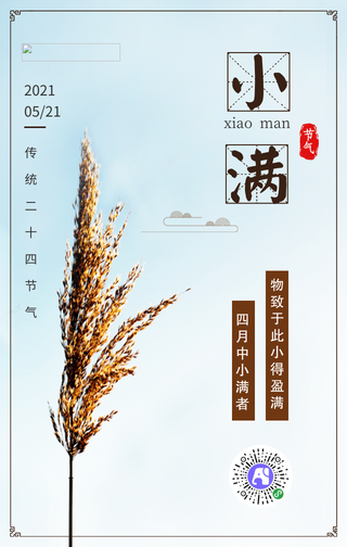 简约小清新小满节气手机海报