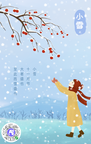 清新文艺手绘大雪手机海报