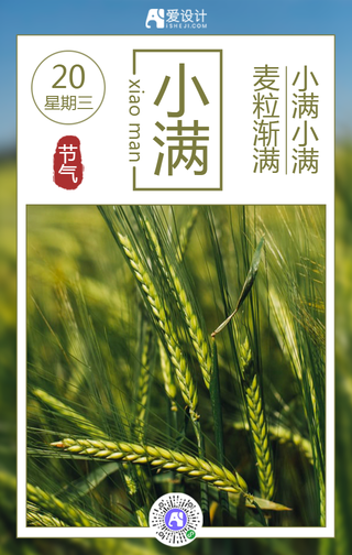 简约创意小满手机海报