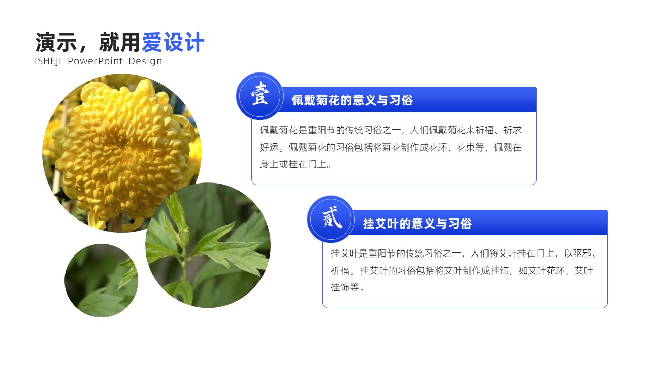 并列关系2项PPT内容页